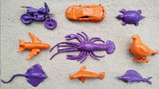 Membersihkan mainan berlumpur seperti lobster, ikan marlin, ikan pari, kura-kura, pesawat, walrus.