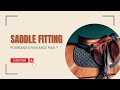 Analyse d'une selle avec une SADDLE FITTEUSE
