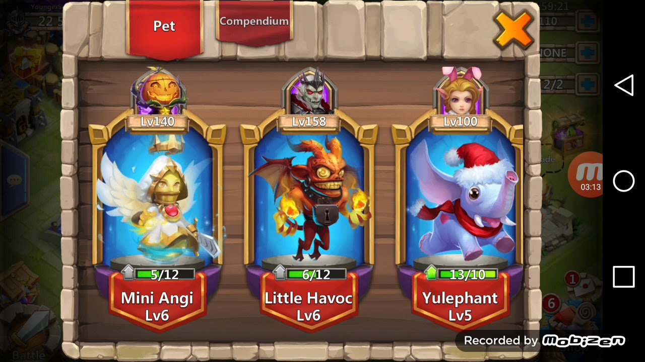 Castle clash cirrina