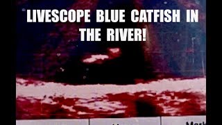 How I use #LIVESCOPE to catch #BlueCatfish in the #River!