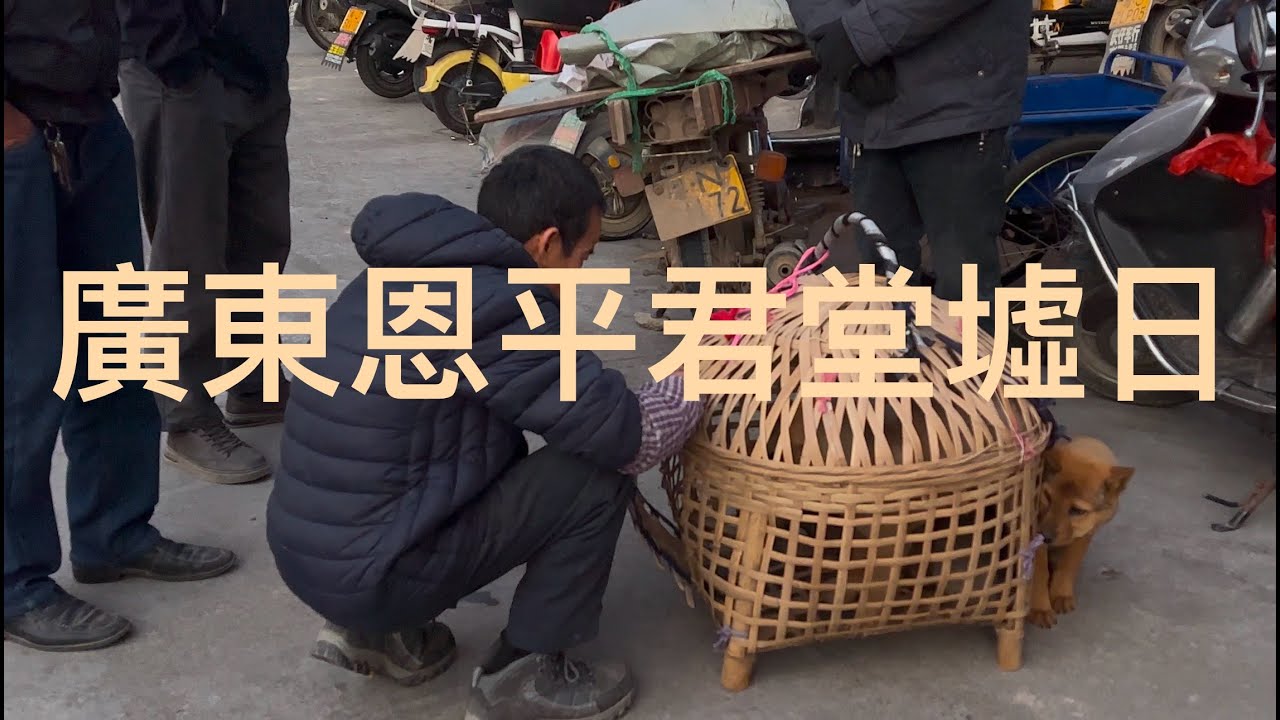 恩平市 Enping 君堂趁墟的人，比想象中更加冷冷清清。