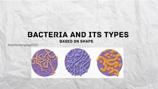 Bacteria and its types (based on shape)