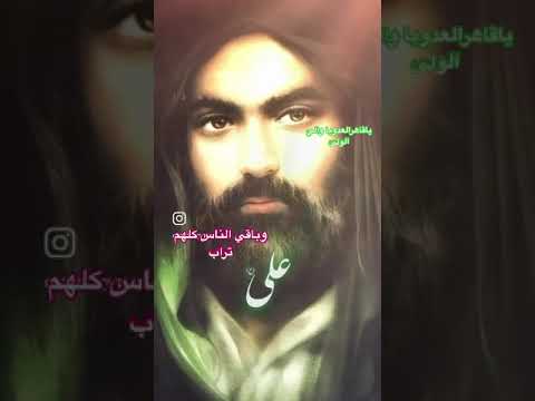 شير نخلستان علي 