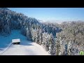 relaxing music &amp; Beautiful Nature to Calm Your Mind and Relieve Stress and Anxiety | Positive Energy