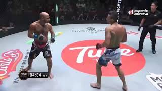 Combo Vine