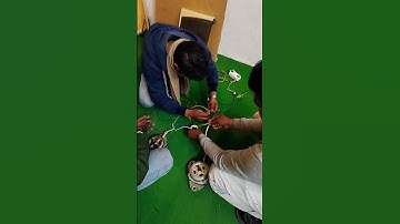 Semi automatic washing machine wiring practical class course join call 9319311715