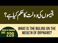 Yateemin ki Dolat ka Hukam kia hai? || Surah Al Baqarah Ayat 220 ki Tafseer || Noor e Wahi