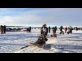 Akiak Dash 2016