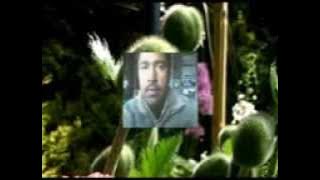 O Sahiba O Saiban.mp4