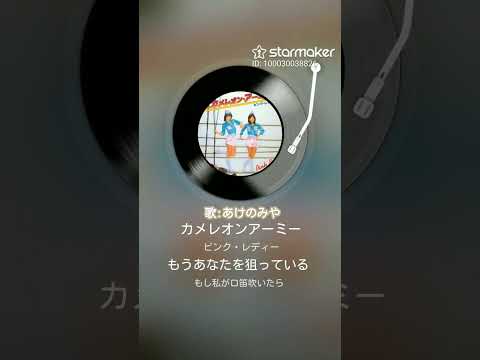 ピンク・レディーさんのカメレオン・アーミーを歌ってみました