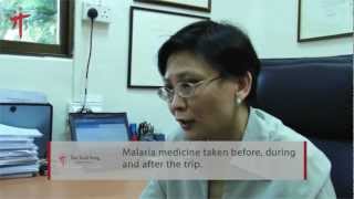 Protection against Malaria, Dengue and Chikungunya when traveling