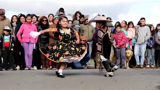 Aniversario 142 de Nueva Braunau Municipalidad Puerto Varas