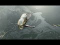 CANAL RESEARCH - UNIT 8