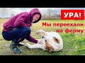 Переехали на ферму. Первые дни на своей земле.