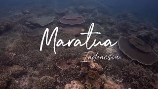 Maratua Underwater