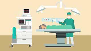 Kambat v. St. Francis Hospital Case Brief Summary | Law Case Explained