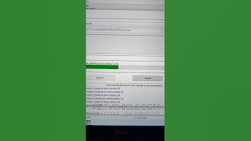 Delete DPF SCR EGR X15 CM2350 EF10349