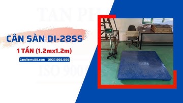 Cân Sàn DI-28SS (1 Tấn - 1.2mx1.2m) Giao Tại Hà Nam
