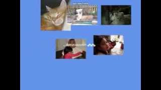 Copy of ProgrammingAssignment2 2013 09 29 VJT