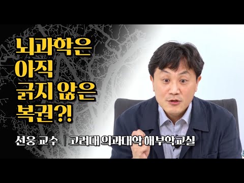 [과학자가 쓴 과학책#21] 나는 뇌를 만들고 싶다 by 선웅