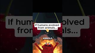 If Human Evolved From Animals