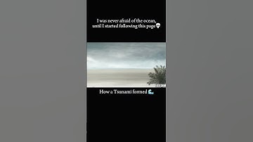 How a Tsunami Forms 🌊 | Causes, Process & Real Examples Explained | Tsunami Animation