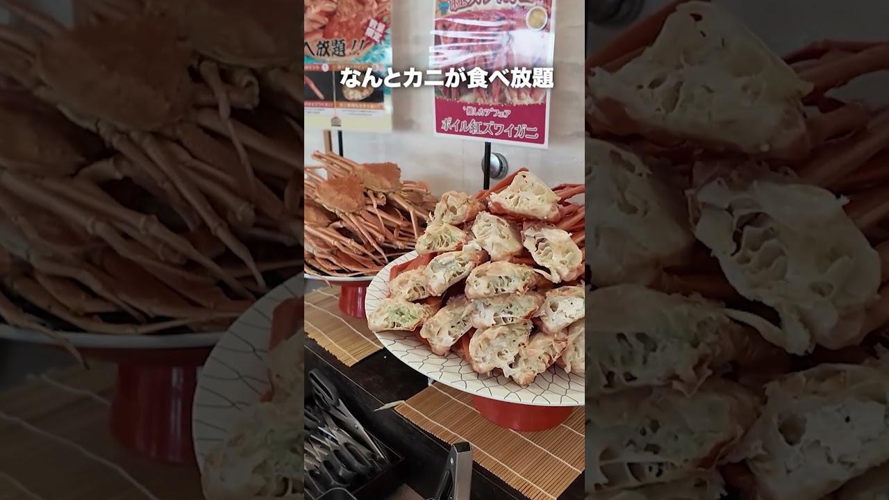 【1泊4食付き】無料サービスがヤバすぎるのに1万円台のホテルが凄かった！【セタスロイヤル】