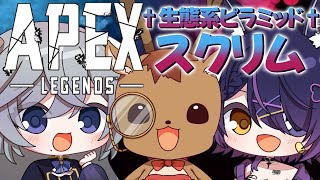 【APEXカスタムスクリム】#RXV杯 のスクリム【鹿目もみじ/出口貞夫/成海ゆらら】#生態系ピラミッド
