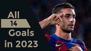 Ferran Torres All 14 Goals in 2023