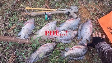 Ngày gì mà đụng toàn hàng khủng - Súng bắn cá V3