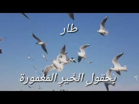 أنشودة وطني كنز بالآ مال الصف الثاني