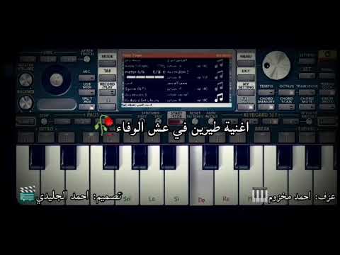 طيرين في عش الوفاء