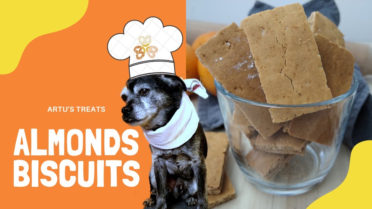 Almond Biscuits Dog Treats YouTube