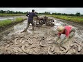 Unbelievable Fishing in Dry Season - Catfish Underground Secret Dry Soil By Fisherman Skills