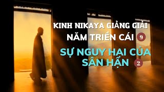 Kinh NIKAYA  Giảng Giải - Năm Triền Cái 9 - Sự Nguy Hại Của Sân Hận 2