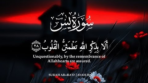 سورة يس ❤️ || تلاوة هادئة بنبرة جميلة و خاشعة 😴 القارئ محمد عبدالقیوم | Surah YaSin Muhammad Dibirov