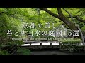 京都の美しい苔と枯山水の庭園 15選:Beautiful Moss and Traditional Dry gardens in Kyoto