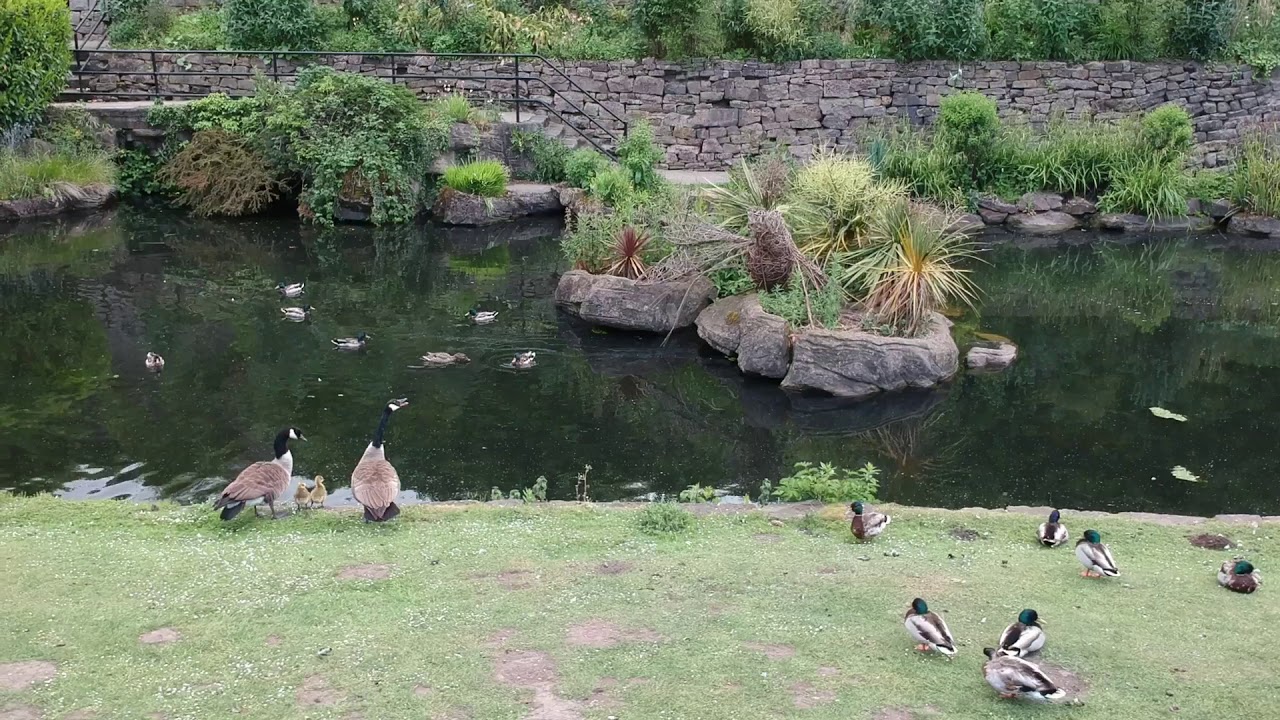 Derby by Drone - Belper River Gardens