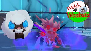 Whimsicott the happy demon | Regal Draft League Season 3 | Pokemon VGC