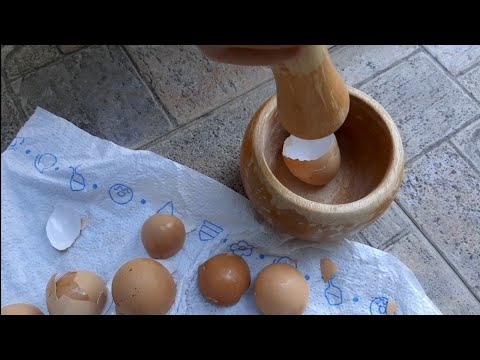 Βίντεο: Πώς να χρησιμοποιήσετε τα τσόφλια αυγών στον κήπο και στο κομπόστ