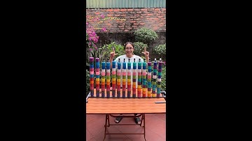 Ball sort puzzle color game funny