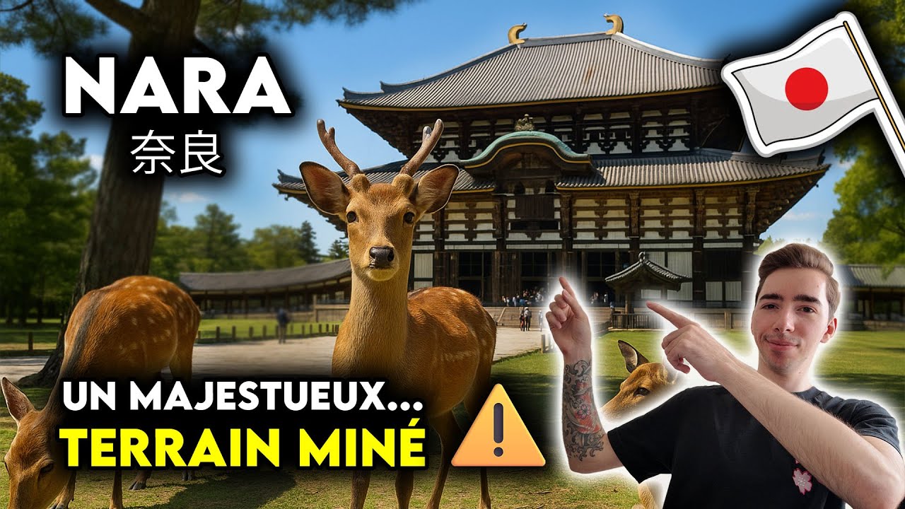 🇯🇵 Nara : Temples majestueux, Daims, Rues traditionnelles... et Crottes !