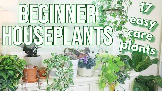 17 BEGINNER HOUSEPLANTS | Easy-Care STUNNING & Resilient Plants for the Novice Plant Parent