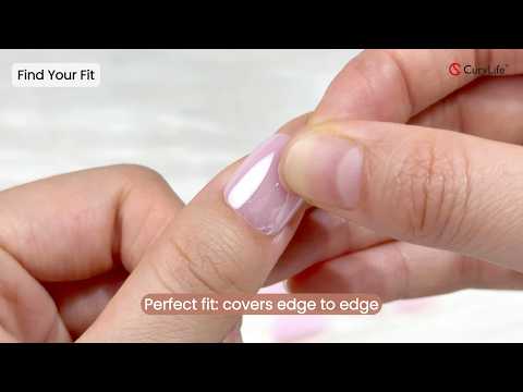 CurvLife Tutorial