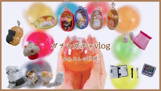 【ガチャガチャ】るんるんの日常