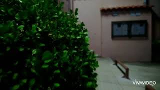  - Children (Extended Edict) Nigth Falow Me 2020 Luzes