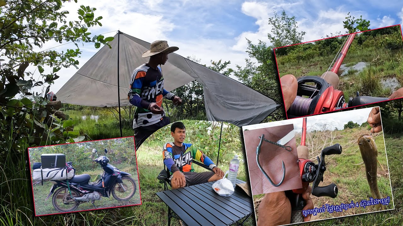 Camping and fishing in the forest bass fishing and snakehead fishing