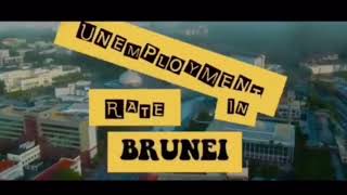 HM240 GROUP ASSIGNMENT (ECO560) CASE STUDY (MACRO) ECONOMIC PERFORMANCE IN BRUNEI