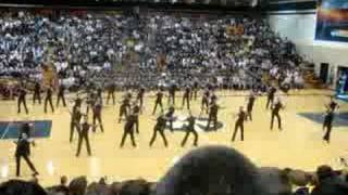 addison trail orchesis HC2008