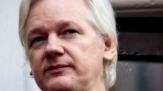 Julian Assange's Twitter account back online